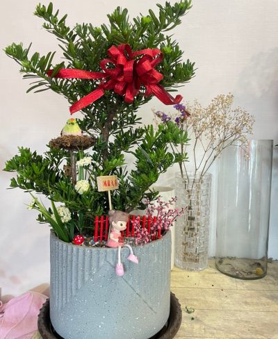 LINE_ALBUM_綠色植栽和蘭花盆栽_230829_1